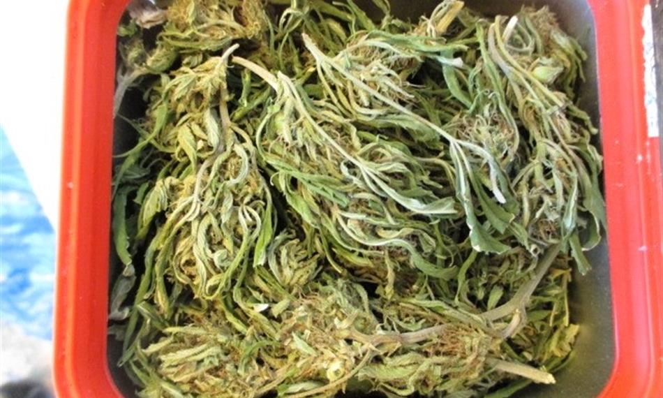 2018-3-14-750foto 4.jpg